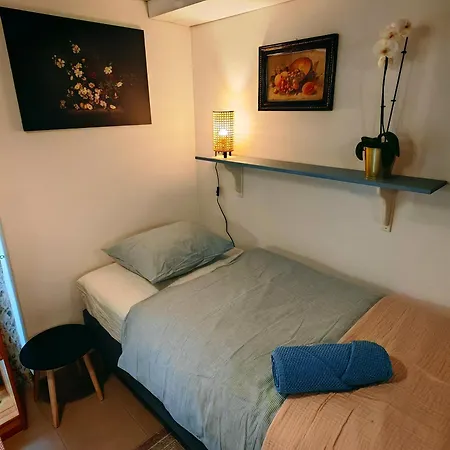 Magnolia With Free Parking Košice